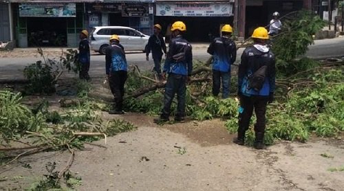 Jaga Keandalan Jaringan Listrik, Ini Upaya PLN Sinjai