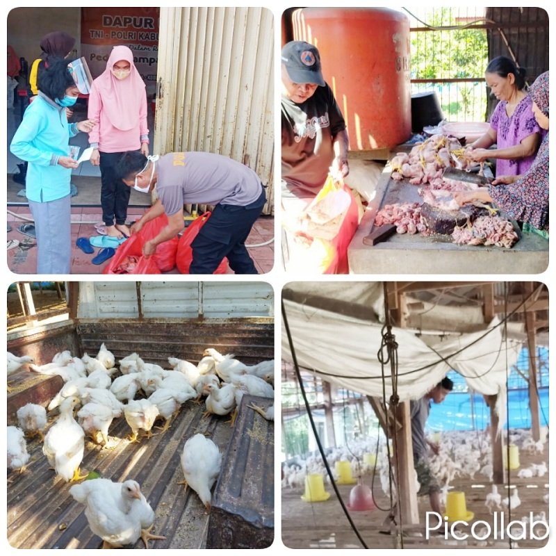 Hasil Budidaya Ayam Potong di Kecamatan Manuju Kembali Diserahkan ke Dapur Umum TNI-Polri di Polres Gowa