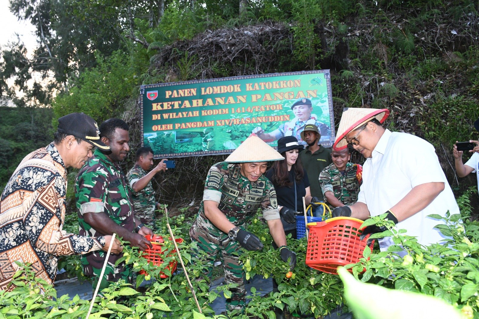 Hasil Ketahanan Pangan, Pangdam XIV/Hsn Panen Lombok Katokon di Toraja Utara