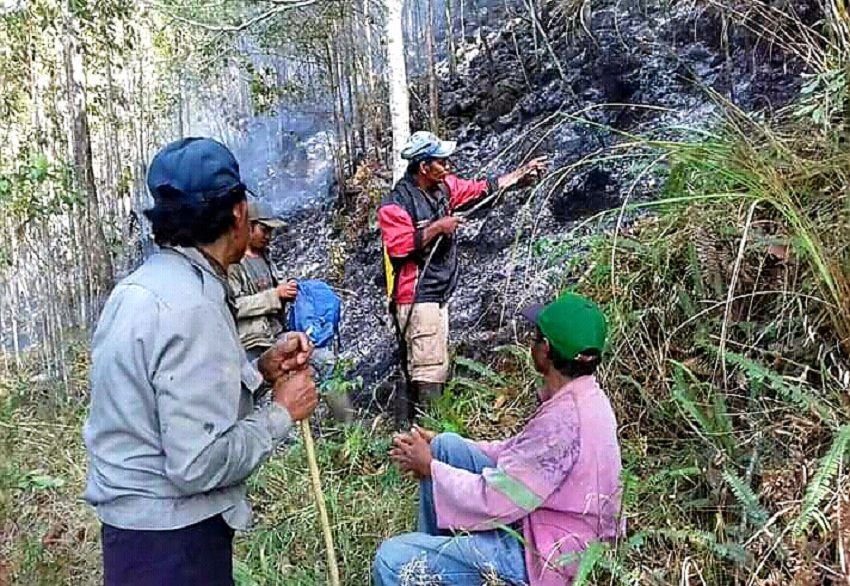TNI-Polri, Tim Manggala dan Masyarakat Berhasil Padamkan Karhutla di Gunung Lompobattang